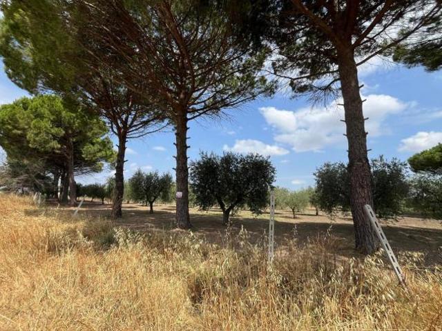 Box in vendita a Puglia, Foggia