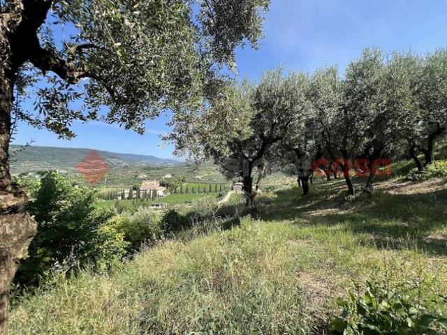 Box in vendita a Nord-Est, Brenzone