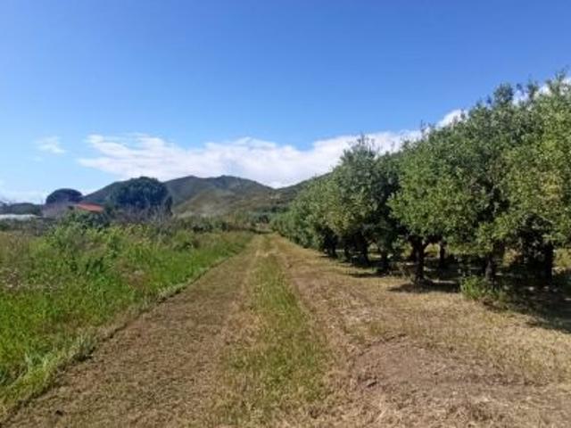 Terreno in vendita a Sinuessa, Mondragone