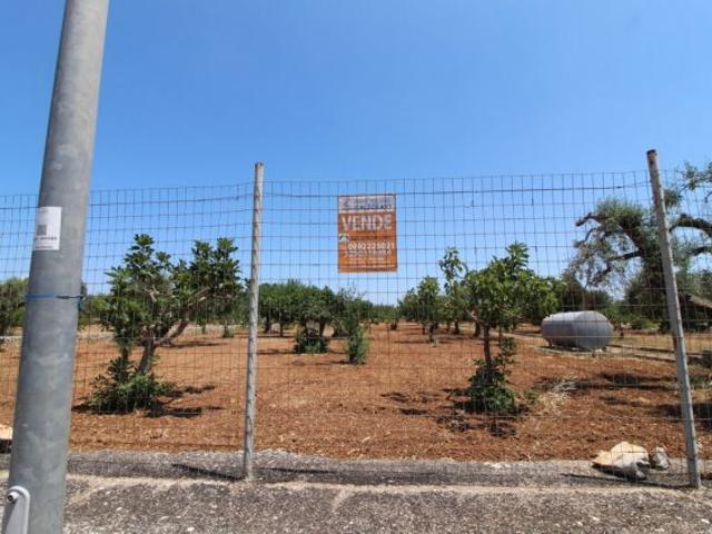 Terreno in vendita a Puglia, Taranto