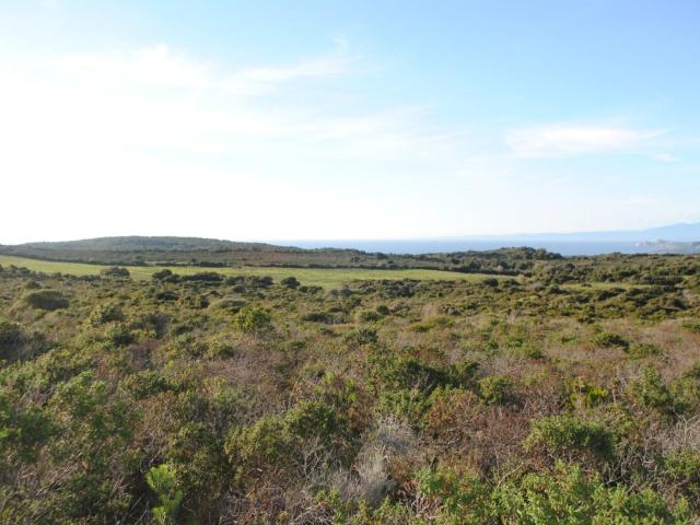 Terreno in vendita a Aglientu, Sardigna/Sardegna
