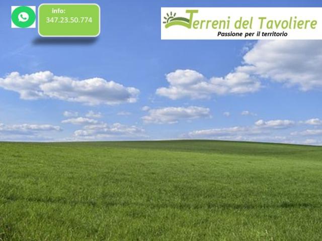 Terreno in vendita a Puglia, Foggia