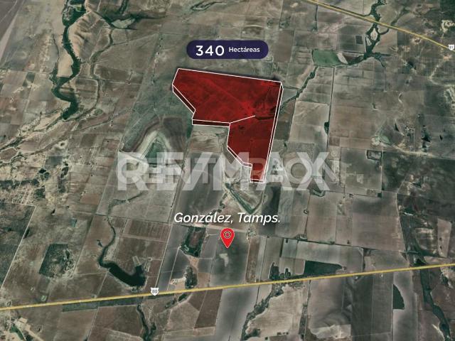 Quinta en venta en González, Tamaulipas