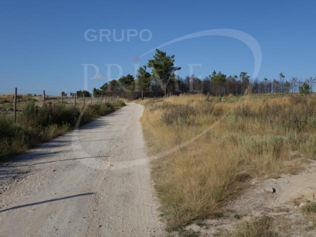 Terreno venda em Alijó, Vila Real