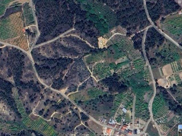 Terreno venda em Torres Novas, Santarém