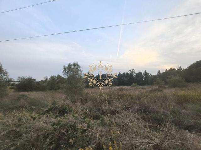 Terreno venda em Palmela, Setúbal