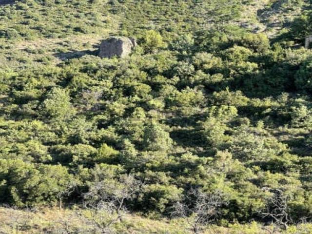 Terreno en venta en Hoya de Huesca / Plana de Uesca, Aragón