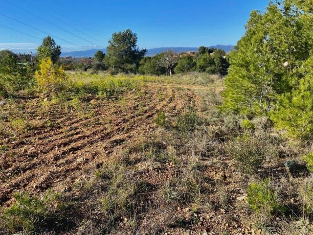 Terreno en venta en Mas d'en Parès, Alt Camp