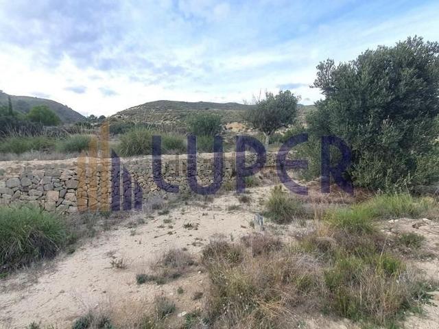 Terreno en venta en l'Alacantí, Valencia