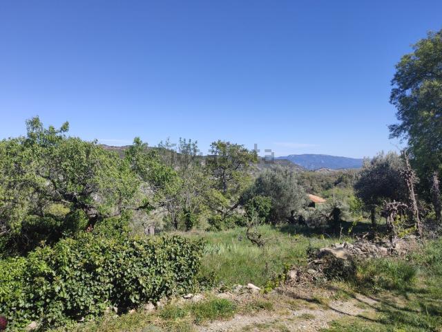 Terreno en venta en Aínsa-Sobrarbe/L´Aínsa-Sobrarbe, Aínsa-sobrarbe