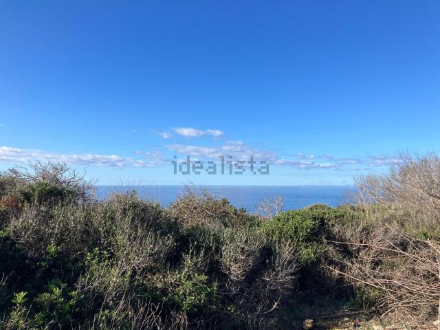Terreno en venta en Cala en Porter, Menorca