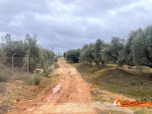 Terreno en venta en Alameda, Málaga