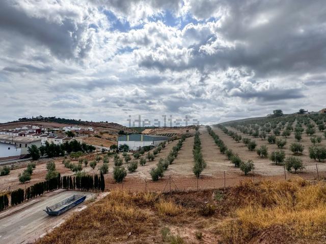 Terreno en venta en Antequera, Andalucía