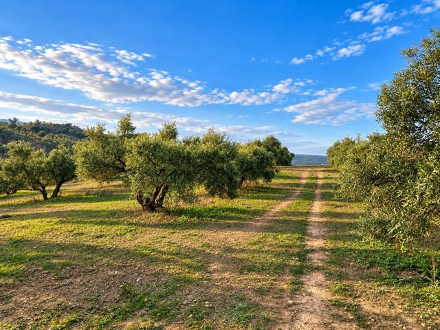 Terreno en venta en Antequera, Andalucía
