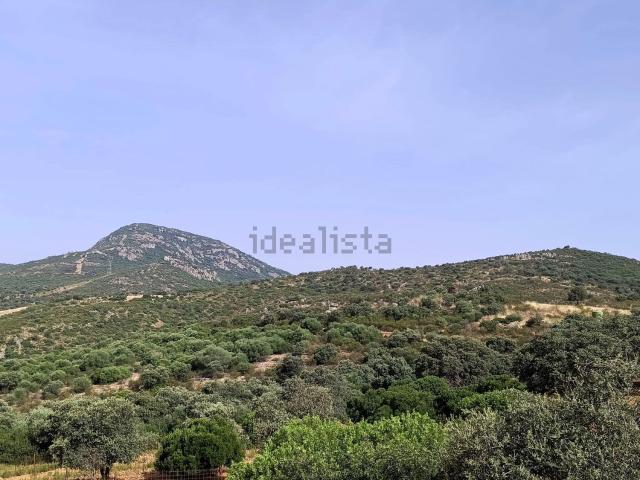 Terreno en venta en Almodóvar Del Campo, Castilla-La Mancha