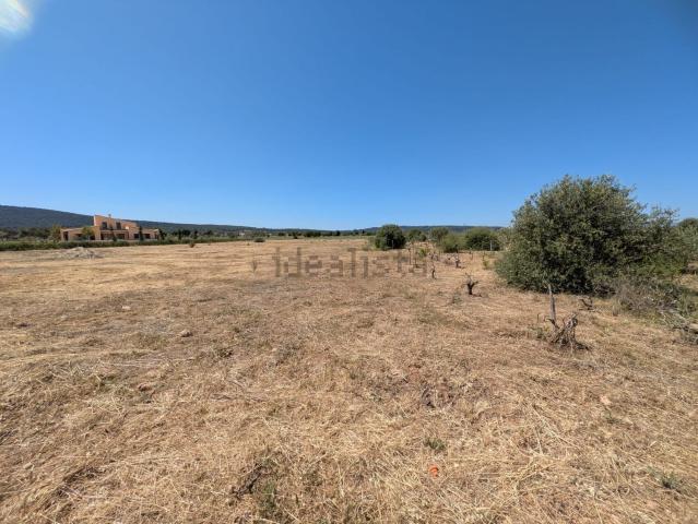 Terreno en venta en Raiguer, Baleares