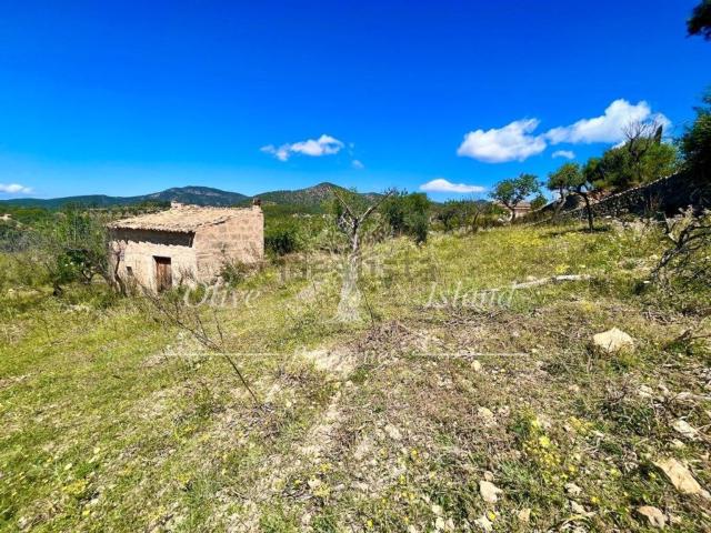 Terreno en venta en Raiguer, Baleares