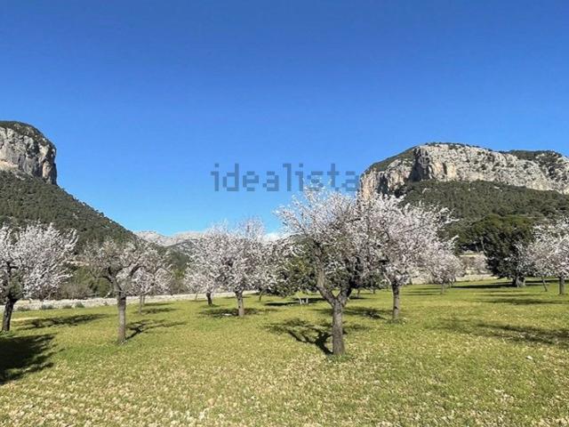 Terreno en venta en Raiguer, Baleares