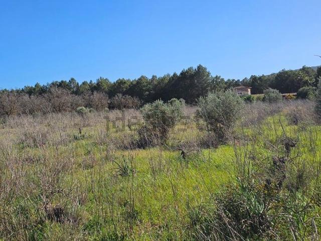 Terreno en venta en Raiguer, Baleares