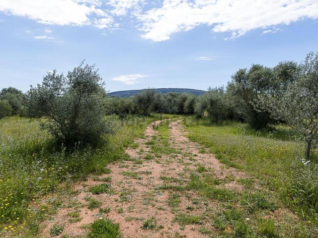 Terreno en venta en Raiguer, Baleares
