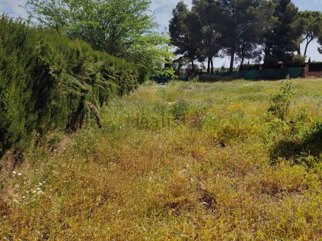 Terreno en venta en Albacete, Castilla-La Mancha