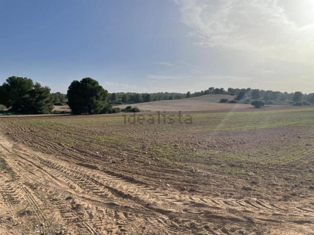 Terreno en venta en Distrito 4, Albacete
