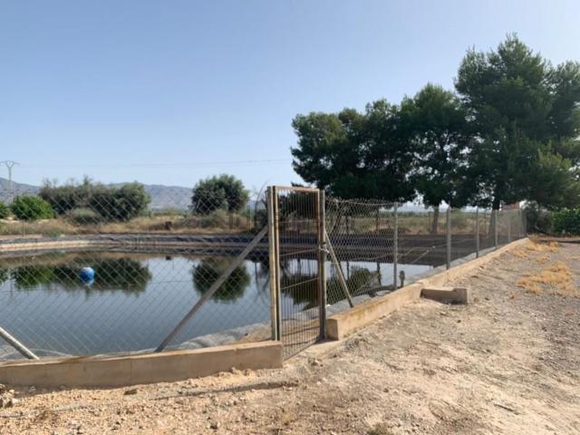 Terreno en venta en el Baix Segura / La Vega Baja, Valencia