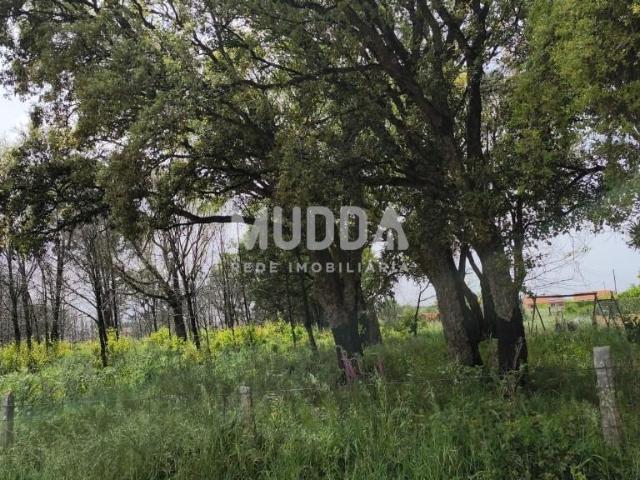 Terreno venda em Assilhó, Albergaria-a-velha