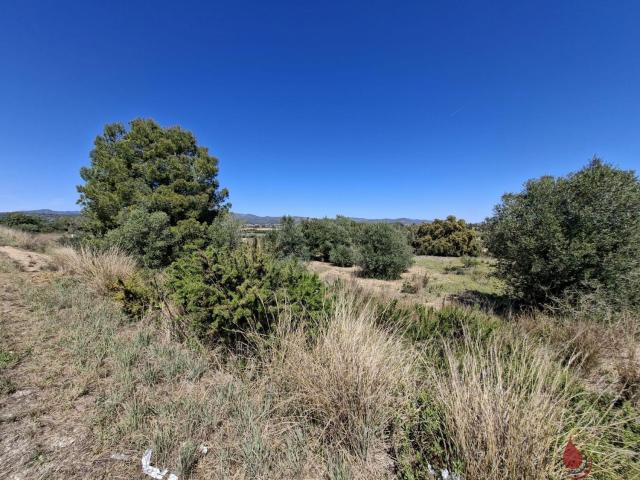 Terreno en venta en les Peces, Baix Penedès