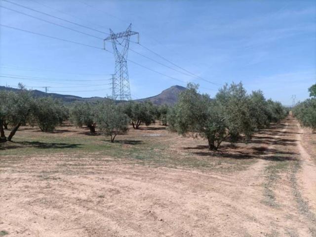 Terreno en venta en Comarca de la Vega de Granada, Andalucía