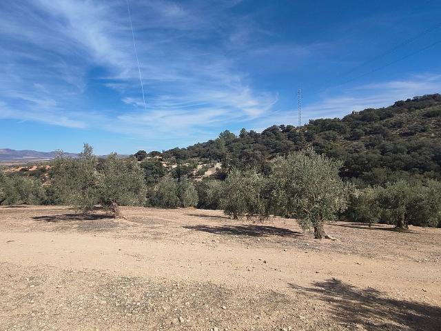 Terreno en venta en Comarca de la Vega de Granada, Andalucía