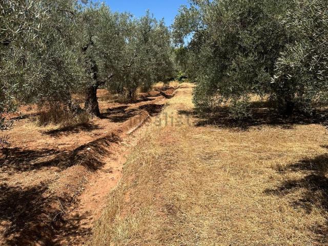 Terreno en venta en El Chaparral, Albolote