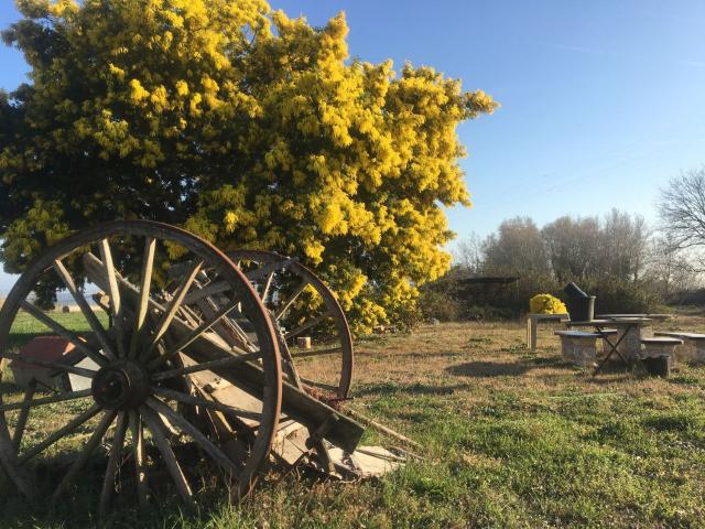 Terreno en venta en Baix Empordà, Catalunya