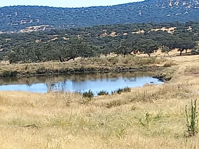 Terreno en venta en Alburquerque, Badajoz