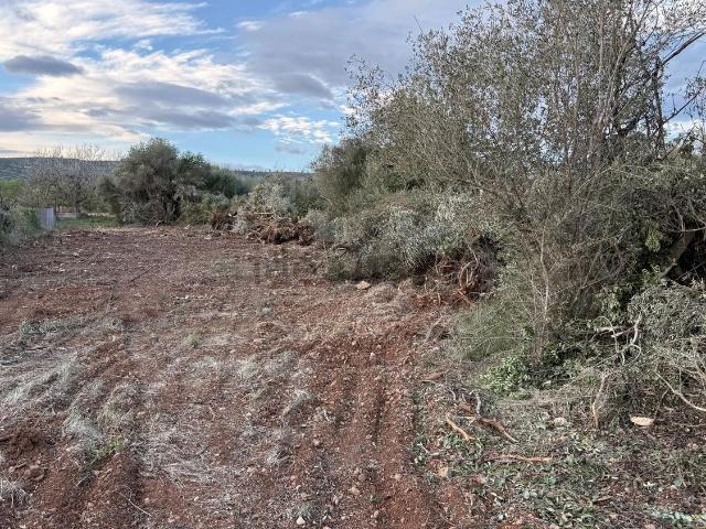 Terreno en venta en el Baix Maestrat, Valencia