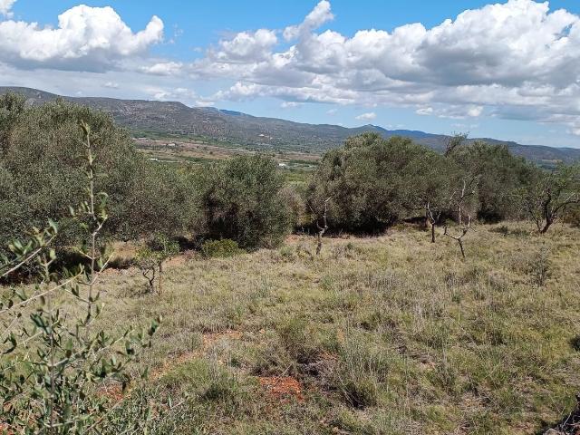 Terreno en venta en el Baix Maestrat, Valencia