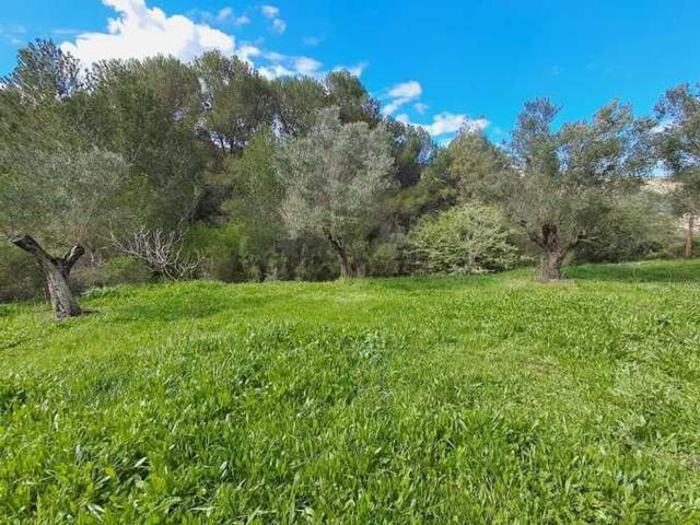 Terreno en venta en la Marina Alta, Valencia