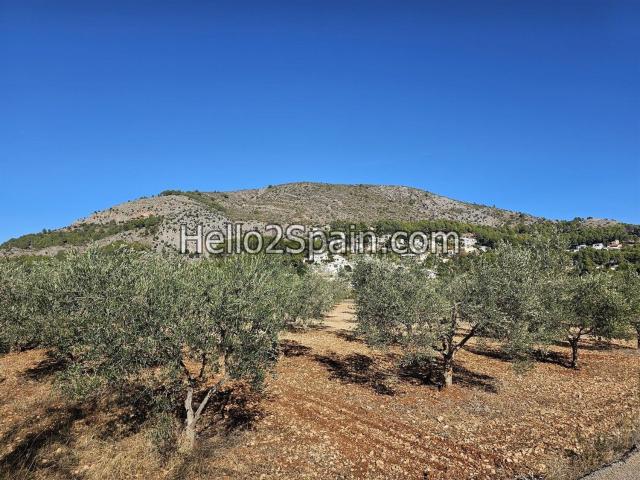 Terreno en venta en Urbanització Vereda Park, Alcalalí