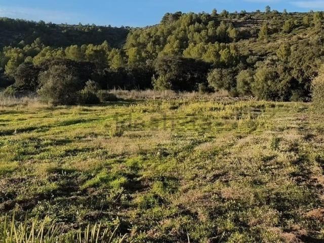 Terreno en venta en Alcalalí, Valencia