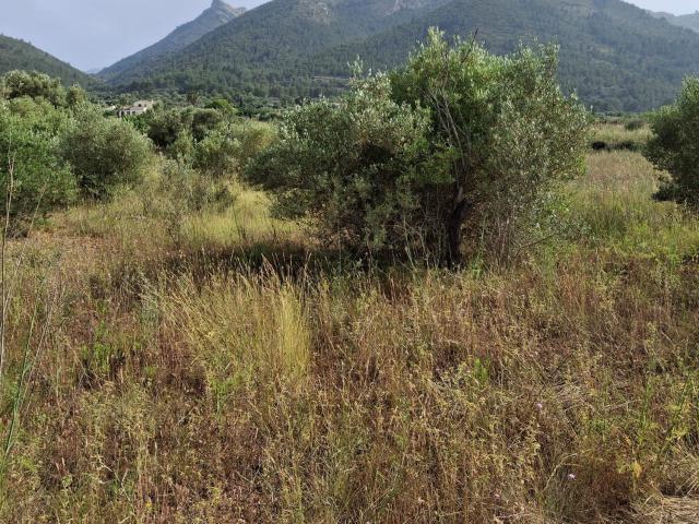 Terreno en venta en Urbanització Vereda Park, Alcalalí