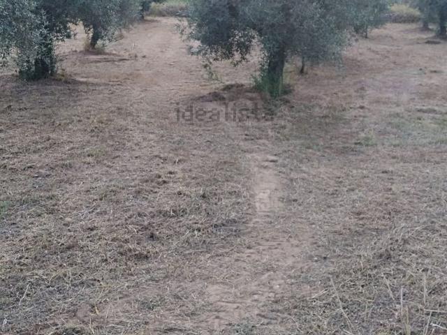 Terreno en venta en Urbanització Vereda Park, Alcalalí