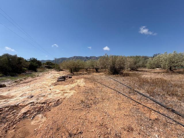 Terreno en venta en Solimar, Alcanar