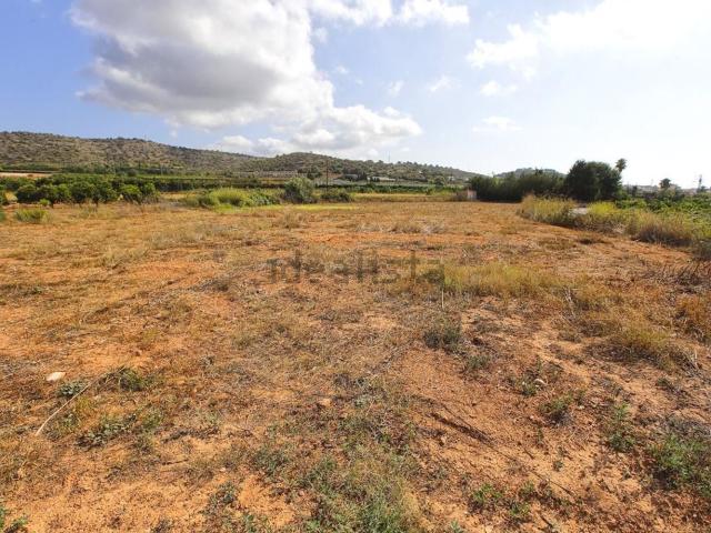 Terreno en venta en Montsià, Catalunya
