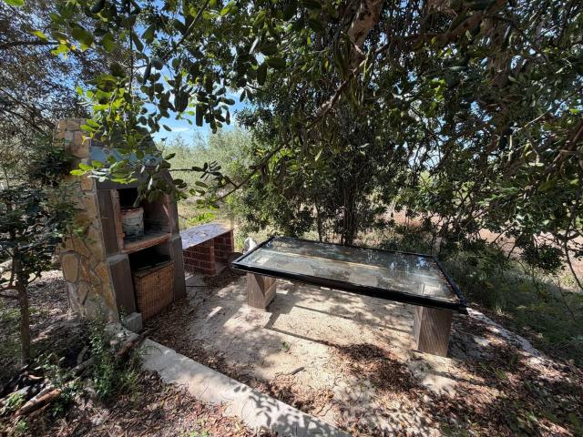 Terreno en venta en Alcanar, Tarragona