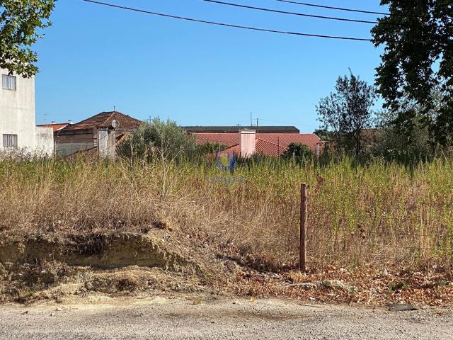 Terreno venda em Alcanena, Santarém