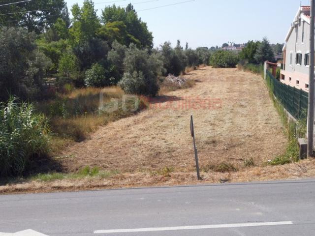Terreno venda em Santarém