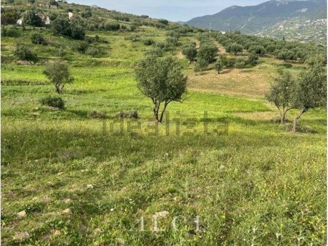 Terreno en venta en La Axarquía, Andalucía