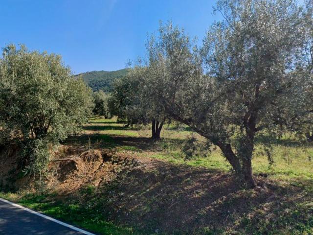 Terreno en venta en La Axarquía, Andalucía