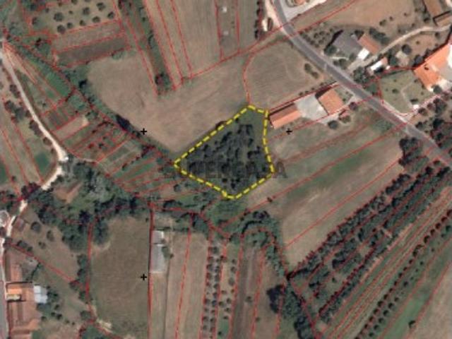Terreno venda em Valteira, Rio Maior