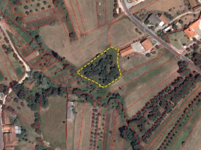 Terreno venda em Valteira, Rio Maior